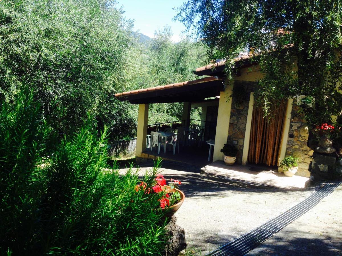 Casa Vacanze Uliveto 보르디게라 외부 사진